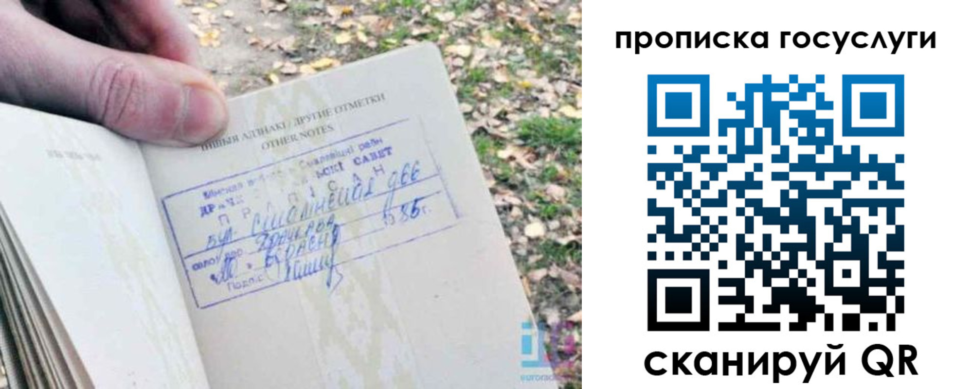 временная регистрация собственник в Камышлове